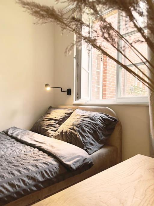 Natural Apartment In The City Center - Old Town Wroclaw Ngoại thất bức ảnh