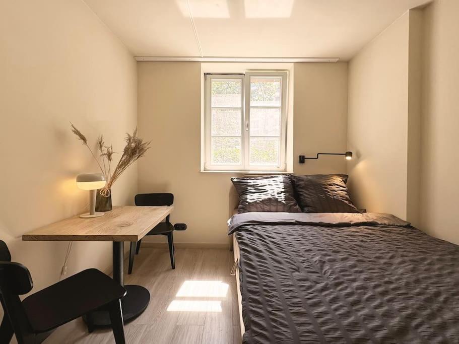 Natural Apartment In The City Center - Old Town Wroclaw Ngoại thất bức ảnh